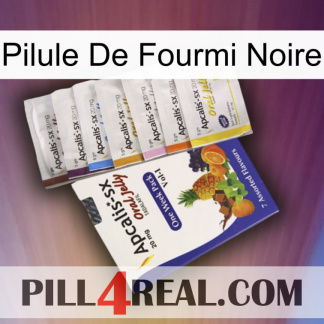 Black Ant Pill 11